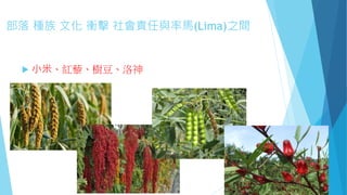 部落 種族 文化 衝擊 社會責任與率馬(Lima)之間
 小米、紅藜、樹豆、洛神
 