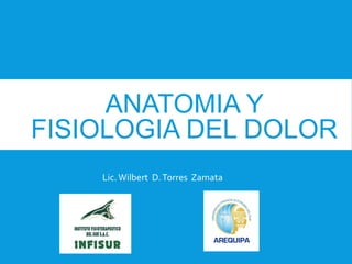 ANATOMIA Y
FISIOLOGIA DEL DOLOR
Lic.Wilbert D.Torres Zamata
 