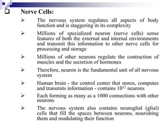  Nerve Cells:
 The nervous system regulates all aspects of body
function and is staggering in its complexity
 Millions of specialized neuron (nerve cells) sense
features of both the external and internal environments
and transmit this information to other nerve cells for
processing and storage
 Millions of other neurons regulate the contraction of
muscles and the secretion of hormones
 Therefore, neuron is the fundamental unit of all nervous
system
 Human brain - the control center that stores, computes
and transmits information - contains 1012 neurons
 Each forming as many as a 1000 connections with other
neurons
 The nervous system also contains neuroglial (glial)
cells that fill the spaces between neurons, nourishing
them and modulating their function
 