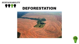 SUSTAINABILITY
03
DEFORESTATION
 