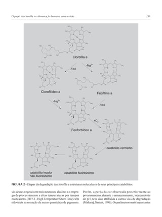 O papel da clorofila na alimentação humana: uma revisão 231
FIGURA 2 - Etapas da degradação da clorofila e estruturas moleculares de seus principais catabólitos.
vio desses vegetais em meio neutro ou alcalino e o empre-
go de processamento a altas temperaturas por tempos
muito curtos (HTST - High Temperature Short Time), têm
sido úteis na retenção de maior quantidade de pigmento.
Porém, a perda da cor observada posteriormente ao
processamento, durante o armazenamento, independente
do pH, tem sido atribuída a outras vias de degradação
(Maharaj, Sankat, 1996). Os parâmetros mais importantes
 