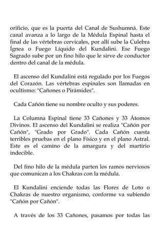 orificio, que es la puerta del Canal de Sushumná. Este
canal avanza a lo largo de la Médula Espinal hasta el
final de las vértebras cervicales, por allí sube la Culebra
Ígnea o Fuego Líquido del Kundalini. Ese Fuego
Sagrado sube por un fino hilo que le sirve de conductor
dentro del canal de la médula.

 El ascenso del Kundalini está regulado por los Fuegos
del Corazón. Las vértebras espinales son llamadas en
ocultismo: "Cañones o Pirámides".

 Cada Cañón tiene su nombre oculto y sus poderes.

  La Columna Espinal tiene 33 Cañones y 33 Átomos
Divinos. El ascenso del Kundalini se realiza "Cañón por
Cañón", "Grado por Grado". Cada Cañón cuesta
terribles pruebas en el plano Físico y en el plano Astral.
Este es el camino de la amargura y del martirio
indecible.

 Del fino hilo de la médula parten los ramos nerviosos
que comunican a los Chakras con la médula.

 El Kundalini enciende todas las Flores de Loto o
Chakras de nuestro organismo, conforme va subiendo
"Cañón por Cañón".

 A través de los 33 Cañones, pasamos por todas las
 