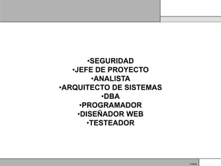 •SEGURIDAD
   •JEFE DE PROYECTO
         •ANALISTA
•ARQUITECTO DE SISTEMAS
            •DBA
      •PROGRAMADOR
     •DISEÑADOR WEB
        •TESTEADOR




                          © BQS
 