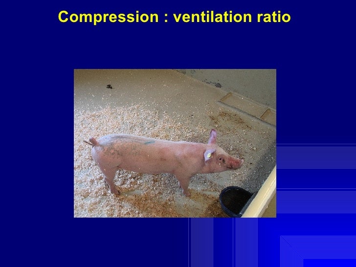 compression to ventilation ratio compression to ventilation ratio