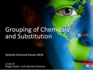 Grouping of Chemicals
and Substitution
Helsinki Chemical Forum 2019
2 3-05-19
Maggie Saykali – Cefic Specialty Chemicals
 