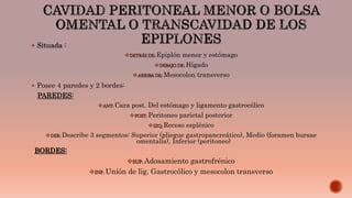  Situada :
DETRÁS DE: Epiplón menor y estómago
DEBAJO DE: Hígado
ARRIBA DE: Mesocolon transverso
 Posee 4 paredes y 2 bordes:
PAREDES:
ANT: Cara post. Del estómago y ligamento gastrocólico
POST: Peritoneo parietal posterior
IZQ: Receso esplénico
DER: Describe 3 segmentos: Superior (pliegue gastropancreático), Medio (foramen bursae
omentalis), Inferior (peritoneo)
BORDES:
SUP: Adosamiento gastrofrénico
INF: Unión de lig. Gastrocólico y mesocolon transverso
 