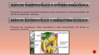 ESPACIO PARIETOCÓLICO O GOTIERA PARACÓLICA
 Formado por pared lateral del abdomen, colon ascendente y colon descendente. Se
divide en izquierdo y derecho.
ESPACIO ENTEROCÓLICO O MESENTÉRICOCÓLICO
 Formado por mesenterio, colon ascendente y colon descendente. Se divide en
izquierdo y derecho.
 