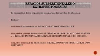 ESPACIOS SUBPERITONEALES O
EXTRAPERITONEALES
 Se desarrollan donde el peritoneo se separa de las paredes del abdomen.
 Incluye:
– HACIA ATRÁS: Encontramos los ESPACIOS RETROPERITONEALES.
– HACIA ABAJO Y ADELANTE: Encontramos el ESPACIO RETROPUBIANO O DE RETZIUS
y el ESPACIO INGUINOABDOMINAL O RETROINGUINAL O DE BOGROS.
– HACIA ABAJO Y MEDIALMENTE: Encontramos el ESPACIO PELVISUBPERITONEAL O DE
GREGOIRE.
 