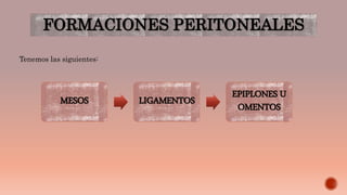 FORMACIONES PERITONEALES
Tenemos las siguientes:
MESOS LIGAMENTOS
EPIPLONES U
OMENTOS
 