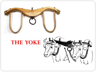 03 22-15 the yoke - sermon by robin PDF