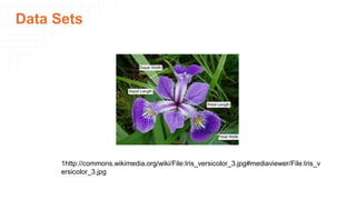 Data Sets
1http://commons.wikimedia.org/wiki/File:Iris_versicolor_3.jpg#mediaviewer/File:Iris_v
ersicolor_3.jpg
 