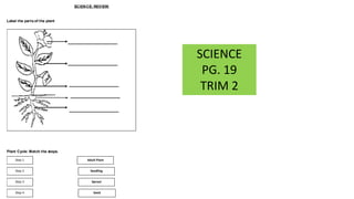 03. Plant Review.pptx