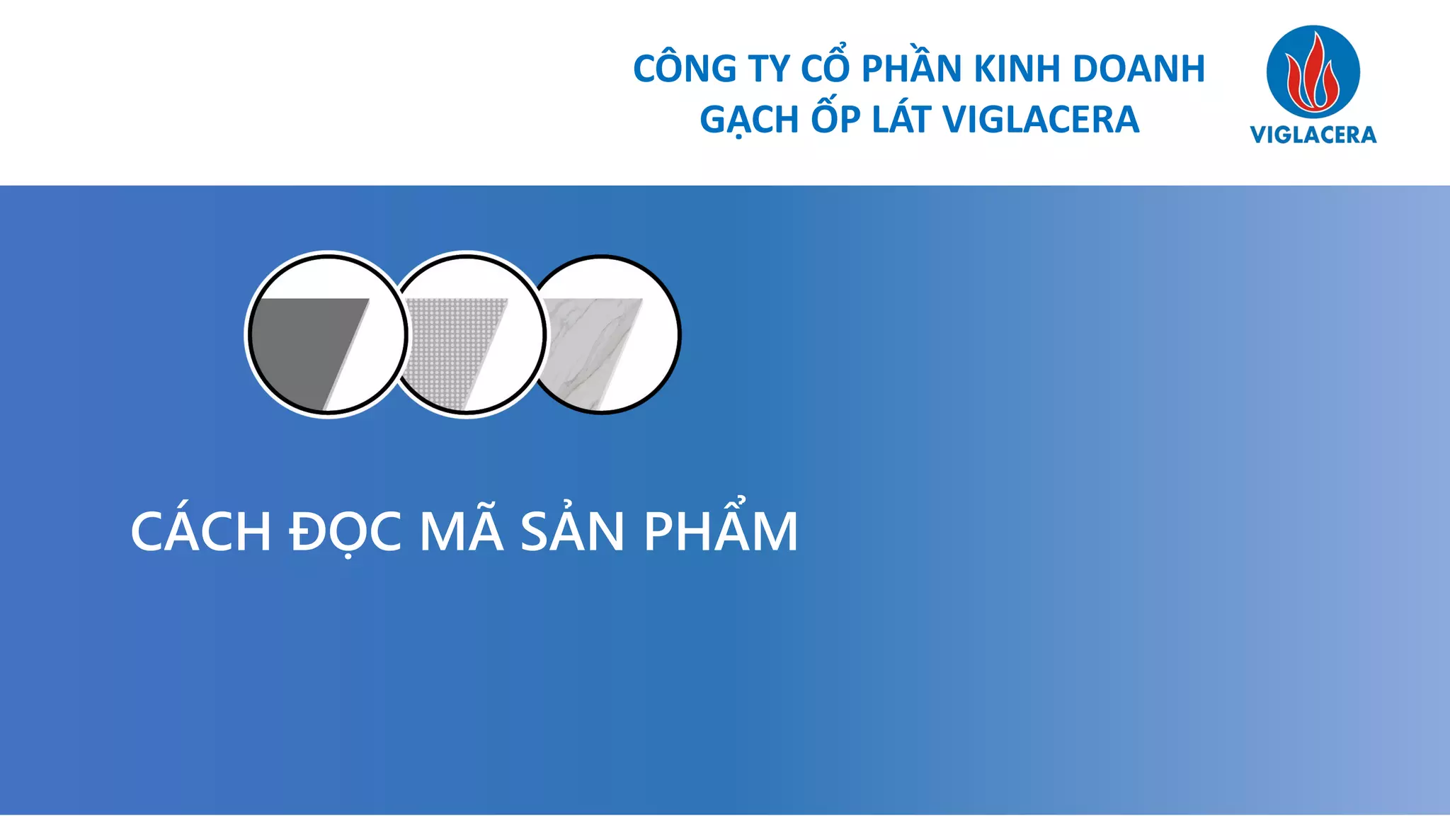 CÔNG TY CỔ PHẦN KINH DOANH
GẠCH ỐP LÁT VIGLACERA
CÁCH ĐỌC MÃ SẢN PHẨM
 