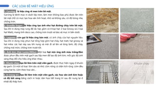 1. Carving: là hiệu ứng rẽ men trên bề mặt.
Carving là kênh mực in dưới lớp men, làm men không bao phủ được lên trên
bề mặt chỗ có mực tạo hoa văn linh hoạt, nhỏ và không sâu, có độ bóng nhẹ,
chống trơn.
2. Granilla Sugar: là hiệu ứng tạo ánh như hạt đường chảy trên bề mặt.
Sau khi in dùng máy rung để rắc hạt, gồm có 4 loại hạt: 2 loại Grossy và 2 loại
hạt Matt), mang tính deco cao, chống trơn trượt và bảo vệ mực in bên dưới.
3. Lappato: (còn gọi là hiệu ứng bán mài, có ánh chảy của hạt nguyên liệu.
Sau khi in dùng máy phun hạt tổng hợp gồm hạt chảy, hạt matt, hạt grossy và
hạt mika: các hạt này sau khi nung và mài đi sẽ lên vẻ lóng lánh, độ chảy,
chống mài mòn, chống trơn trượt tốt.
4. Ánh kim (Hạt Luster/Mika): Một loại hạt mịn óng ánh màu trắng/đen
được phun đều trên mặt gạch sau lớp men để tạo độ ánh kim, mỗi góc độ ánh
sáng thay đổi cho hiêu ứng khác nhau.
5. Khuôn chày: tạo lồi lõm trên mặt viên gạch, được thực hiện ngay ở khuôn
ép gạch. Có một số loại: lõm sâu và nhỏ; Lõm nông có diện tích rộng. Lõm đều
cùng hạt to. Lõm theo hoa văn…
CÁC LOẠI BỀ MẶT HIỆU ỨNG
6. In trang trí: tạo lồi lõm trên mặt viên gạch, các hoa văn ánh kim hoặc
có độ bắt sáng bằng cách in hoặc dán họa tiết trang trí sau đó nung lại ở
nhiệt độ thấp hơn.
Granilla Sugar Lappato
Luster Carving
Decor Khuôn chày
 