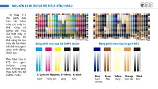 NGUYÊN LÝ IN ẤN VÀ HỆ MÀU, KÊNH MÀU
In máy KTS
cho gạch dựa
trên các kênh
màu cảu máy in.
khả năng số
lượng dải màu
của một máy in
càng nhiều thì
khả năng tái tạo
màu sắc tự nhiên
trên bề mặt gạch
càng sinh động,
chính xác.
Màu trên máy in
KTS cho gạch
thường trung
tính, không phải
màu tươi như hệ
CMYK chuẩn.
Bảng phối màu của hệ CMYK chuẩn Bảng phối màu máy in gạch KTS
C: Cyan; M: Magenta; Y: Yellow; K: Black
Xanh Hồng tím Vàng Đen
Blue Brow Yellow Orange Black
Xanh Nâu Vàng Cam đất Đen
dương
 