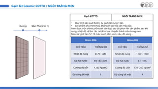 Xương Men Phủ (2 in 1)
Gạch lát Ceramic COTTO / NGÓI TRÁNG MEN
Nhóm BIII
CHỈ TIÊU THÔNG SỐ
Nhiệt độ nung 1100 - 1130
Độ hút nước E > 10%
Cường độ uốn 170 -250 kg/cm2
Độ cứng bề mặt 4
Nhóm BIIb
CHỈ TIÊU THÔNG SỐ
Nhiệt độ nung 1170 - 1185
Độ hút nước 6% < E ≤ 10%
Cường độ uốn > 220 Kg/cm2
Độ cứng bề mặt 5
Gạch COTTO NGÓI TRÁNG MEN
• Quy trình sản xuất tương tự gạch lát nung 1 lần.
• Sản phẩm phủ men màu, không in tạo hoa văn màu sắc.
Men được trộn thành phần oxit kim loại, sau đó phun lên sản phẩm, sau khi
nung, nhiệt độ sẽ làm các oxit kim loại chuyển thành màu trong men
Màu sắc giới hạn 12-15 màu: xanh, đen, xám, nâu, đỏ, vàng…
 