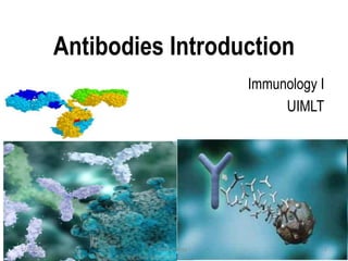 Antibodies Introduction
Immunology I
UIMLT
1/2/2023 Immunology I 1
 