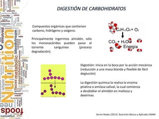 Servin Rodas (2013). Nutrición Básica y Aplicada UNAM
Compuestos orgánicos que contienen
carbono, hidrógeno y oxígeno.
Principalmente ingerimos almidón, sólo
los monosacáridos pueden pasar al
torrente sanguíneo (proceso
degradación).
Digestión: Inicia en la boca por la acción mecánica
(reducción a una masa blanda y flexible de fácil
deglución)
La digestión química la realiza la enzima
ptialina o amilasa salival, la cual comienza
a desdoblar el almidón en maltosa y
dextrinas
 