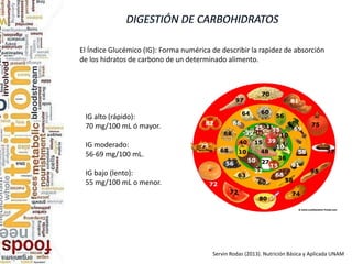 El Índice Glucémico (IG): Forma numérica de describir la rapidez de absorción
de los hidratos de carbono de un determinado alimento.
IG alto (rápido):
70 mg/100 mL ó mayor.
IG moderado:
56-69 mg/100 mL.
IG bajo (lento):
55 mg/100 mL o menor.
Servin Rodas (2013). Nutrición Básica y Aplicada UNAM
 