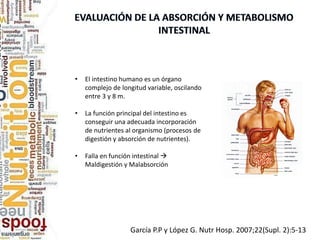 García P.P y López G. Nutr Hosp. 2007;22(Supl. 2):5-13
• El intestino humano es un órgano
complejo de longitud variable, oscilando
entre 3 y 8 m.
• La función principal del intestino es
conseguir una adecuada incorporación
de nutrientes al organismo (procesos de
digestión y absorción de nutrientes).
• Falla en función intestinal 
Maldigestión y Malabsorción
 
