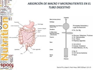 García P.P y López G. Nutr Hosp. 2007;22(Supl. 2):5-13
 