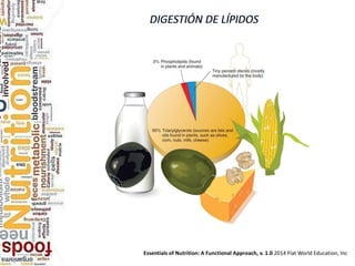 Essentials of Nutrition: A Functional Approach, v. 1.0 2014 Flat World Education, Inc
 