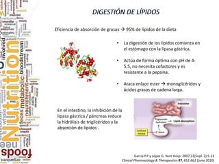 García P.P y López G. Nutr Hosp. 2007;22(Supl. 2):5-13
Clinical Pharmacology & Therapeutics 87, 652-662 (June 2010)
Eficiencia de absorción de grasas  95% de lípidos de la dieta
En el intestino, la inhibición de la
lipasa gástrica / páncreas reduce
la hidrólisis de triglicéridos y la
absorción de lípidos .
• La digestión de los lípidos comienza en
el estómago con la lipasa gástrica.
• Actúa de forma óptima con pH de 4-
5,5, no necesita cofactores y es
resistente a la pepsina.
• Ataca enlace ester  monoglicéridos y
ácidos grasos de cadena larga.
 