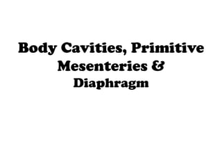 Body Cavities, Primitive
Mesenteries &
Diaphragm
 