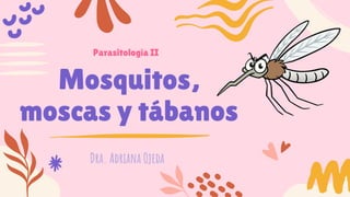 Mosquitos,
moscas y tábanos
Dra. Adriana Ojeda
Parasitología II
 