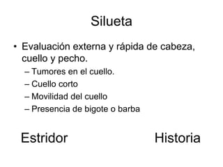 Silueta
• Evaluación externa y rápida de cabeza,
cuello y pecho.
– Tumores en el cuello.
– Cuello corto
– Movilidad del cuello
– Presencia de bigote o barba
Estridor Historia
 