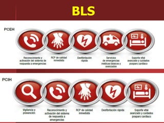 BLS
 