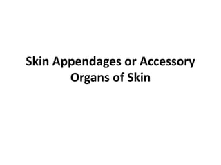 Skin Appendages or Accessory
Organs of Skin
 