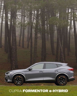 CUPRA FORMENTOR e-HYBRID
 