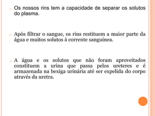 o Os nossos rins tem a capacidade de separar os solutos
do plasma.
o Após filtrar o sangue, os rins restituem a maior parte da
água e muitos solutos à corrente sanguínea.
o A água e os solutos que não foram aproveitados
constituem a urina que passa pelos ureteres e é
armazenada na bexiga urinária até ser expelida do corpo
através da uretra.
 
