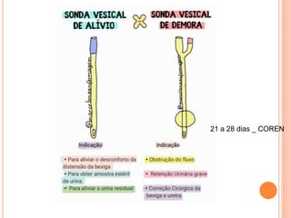 21 a 28 dias _ COREN
 