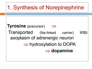 1. Synthesis of Norepinephrine
Tyrosine (precursor) 
Transported (Na-linked carrier) into
axoplasm of adrenergic neuron
 hydroxylation to DOPA
 dopamine
 
