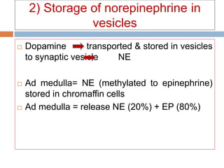 2) Storage of norepinephrine in
vesicles
 Dopamine transported & stored in vesicles
to synaptic vesicle NE
 Ad medulla= NE (methylated to epinephrine)
stored in chromaffin cells
 Ad medulla = release NE (20%) + EP (80%)
 