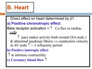 B. Heart
 Direct effect on heart determined by β1
a) Positive chronotropic effect
Beta receptor activation =  Ca flux in cardiac
cells
 pace maker activity both normal (SA node )
& abnormal (purkinje fibers)  conduction velocity
in AV node  +  refractory period
b) Positive inotropic effect
 in intrinsic contractility
c) Coronary blood flow 
 