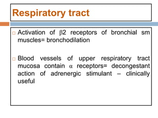 Respiratory tract
 Activation of β2 receptors of bronchial sm
muscles= bronchodilation
 Blood vessels of upper respiratory tract
mucosa contain α receptors= decongestant
action of adrenergic stimulant – clinically
useful
 