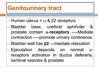 Genitourinary tract
 Human uterus =  & 2 receptors
 Bladder base, urethral sphincter &
prostate contain α-receptors ----Mediate
contraction ----promote urinary continence
 Bladder wall has β2 ---mediate relaxation
 Ejaculation depends on normal α-
receptors activation in ductus deferens,
seminal vesicles & prostate
 