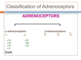 Classification of Adrenoceptors
ADRENOCEPTORS
-adrenoceptors -adrenoceptors
1 2 1 2 3
1A 2A
1B 2B
1D 2C
1L
Cont.
 