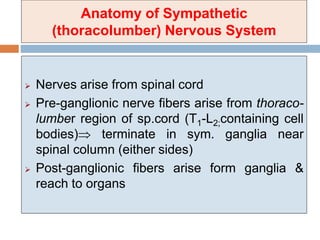 Anatomy of Sympathetic
(thoracolumber) Nervous System
 Nerves arise from spinal cord
 Pre-ganglionic nerve fibers arise from thoraco-
lumber region of sp.cord (T1-L2;containing cell
bodies) terminate in sym. ganglia near
spinal column (either sides)
 Post-ganglionic fibers arise form ganglia &
reach to organs
 