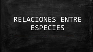 RELACIONES ENTRE
ESPECIES
 