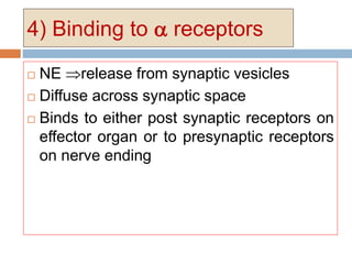 4) Binding to  receptors
 NE release from synaptic vesicles
 Diffuse across synaptic space
 Binds to either post synaptic receptors on
effector organ or to presynaptic receptors
on nerve ending
 