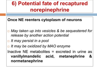 6) Potential fate of recaptured
norepinephrine
Once NE reenters cytoplasm of neurons
 May taken up into vesicles & be sequestered for
release by another action potential
 It may persist in a pool
 It may be oxidized by MAO enzyme
Inactive NE metabolites = excreted in urine as
vanillylmandelic acid, metanephrine &
normetanephrine
 