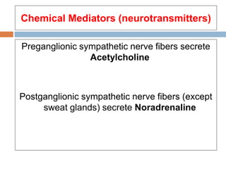 Chemical Mediators (neurotransmitters)
Preganglionic sympathetic nerve fibers secrete
Acetylcholine
Postganglionic sympathetic nerve fibers (except
sweat glands) secrete Noradrenaline
 