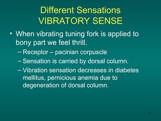 Vibration Sensation Disorder