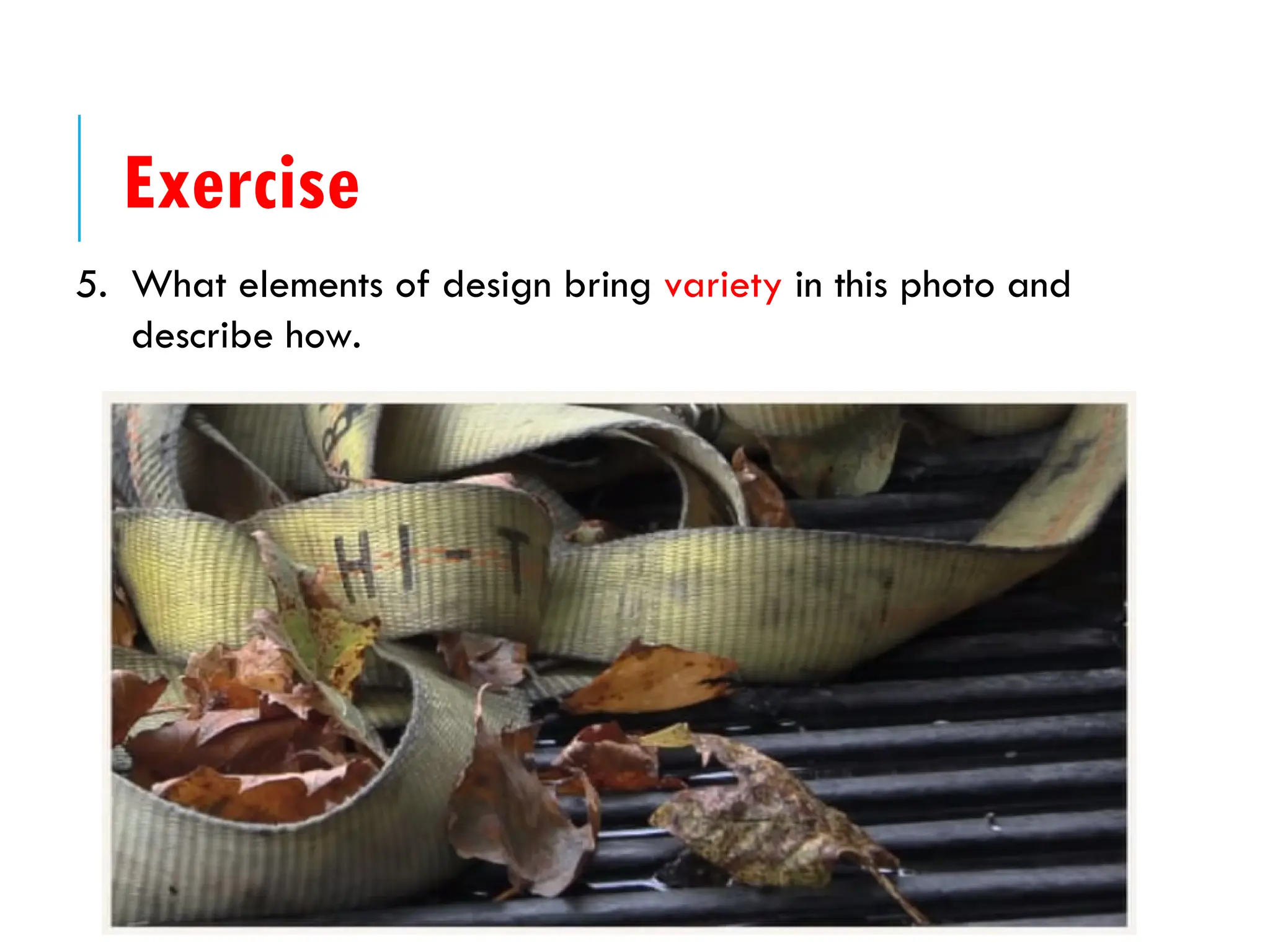 5. What elements of design bring variety in this photo and
describe how.
Exercise
 