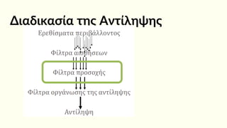 Διαδικασία της Αντίληψης
 
