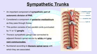 Truncus Sympathicus Toraks 03.GROSS Thoracic Sympathetic Trunk.pptx
